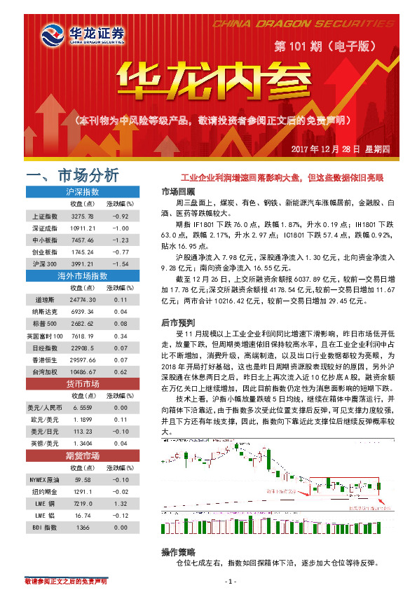 华龙内参第101期（电子版）