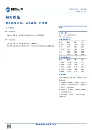 朝闻国盛：财务风险识别、山东城投、区块链