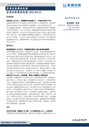 晨会纪要