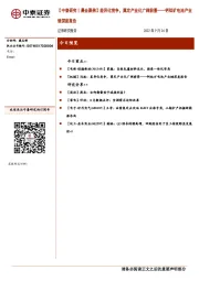 【中泰研究丨晨会聚焦】差异化竞争，奠定产业化广阔前景——钙钛矿电池产业链深度报告