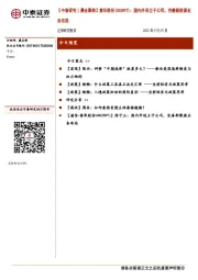 【中泰研究丨晨会聚焦】意华股份(002897)：国内外设立子公司，完善新能源业务布局