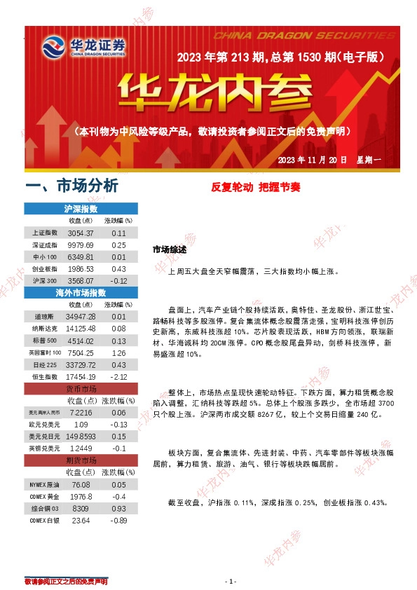 华龙内参2023年第213期，总第1530期（电子版）