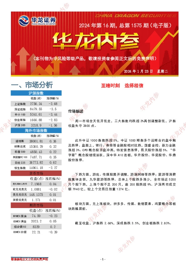 华龙内参2024年第16期，总第1575期（电子版）