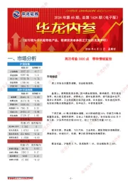 华龙内参2024年第65期，总第1624期（电子版）
