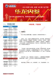 华龙内参2024年第96期，总第1655期（电子版）