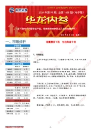 华龙内参2024年第99期，总第1658期（电子版）