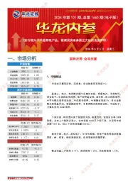 华龙内参2024年第101期，总第1660期（电子版）