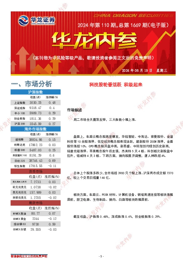 华龙内参2024年第110期，总第1669期（电子版）