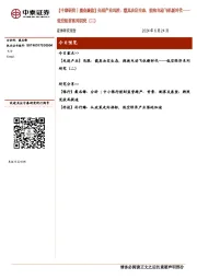【中泰研究丨晨会聚焦】先进产业冯胜：载具决定生态，拥抱电动飞机新时代—低空经济系列研究（二）
