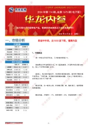 华龙内参2024年第114期，总第1673期（电子版）
