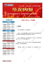 华龙内参2024年第116期，总第1675期（电子版）