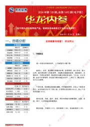 华龙内参2024年第133期，总第1692期（电子版）