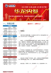 华龙内参2024年第136期，总第1695期（电子版）
