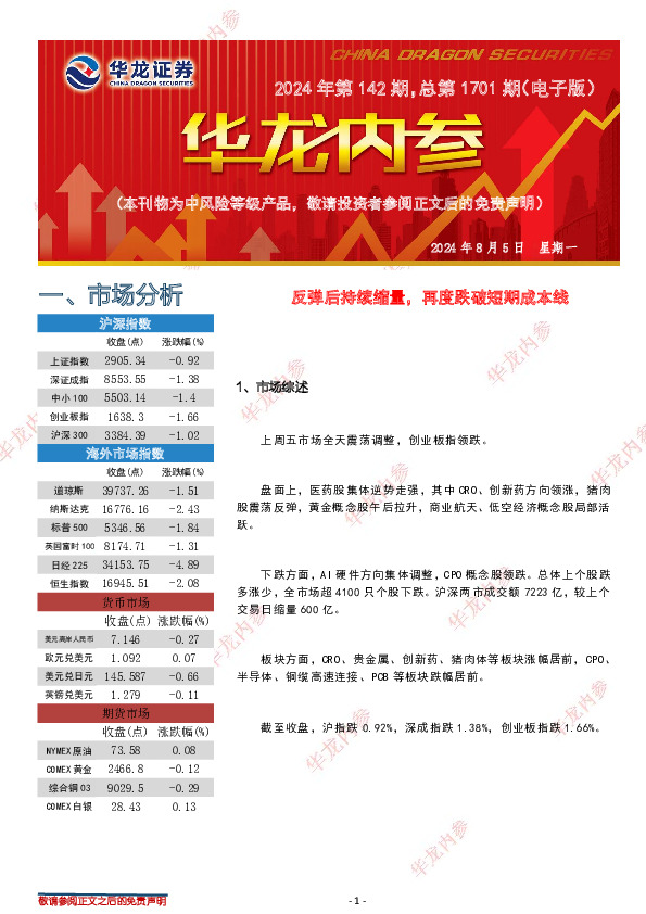 华龙内参2024年第142期，总第1701期（电子版）