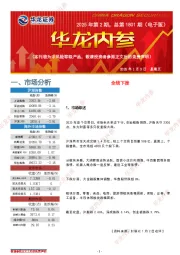华龙内参2025年第2期，总第1801期（电子版）