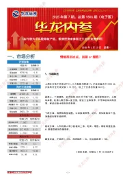 华龙内参2025年第7期，总第1806期（电子版）