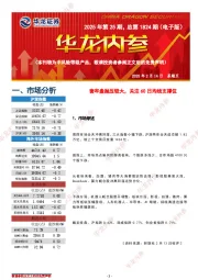 华龙内参2025年第25期，总第1824期（电子版）