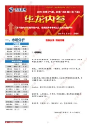 华龙内参2025年第29期，总第1828期（电子版）