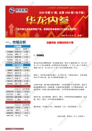 华龙内参2025年第31期，总第1830期（电子版）