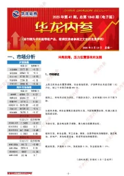 华龙内参2025年第41期，总第1840期（电子版）
