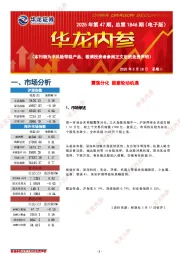 华龙内参2025年第47期，总第1846期（电子版）