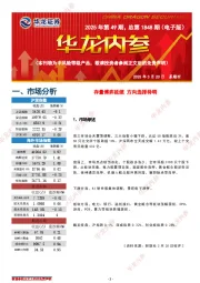 华龙内参2025年第49期，总第1848期（电子版）