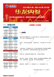 华龙内参2025年第54期，总第1853期（电子版）