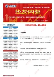 华龙内参2025年第58期，总第1857期（电子版）