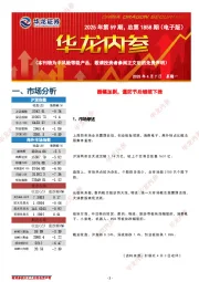 华龙内参2025年第59期,总第1858期(电子版)