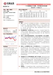 新能源车7月销量点评：7月销量略低于预期，仍然看好后续放量