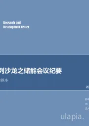 新能源行业跟踪报告：新能源系列沙龙之储能会议纪要