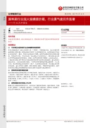 化学制药行业点评报告：原料药行业现大规模提价潮，行业景气度回升显著