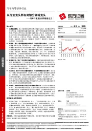 汽车行业龙头系列报告之三：从行业龙头到布局细分领域龙头