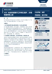 其他化学原料：ADC发泡剂短期开工率难以提升，价格有望持续上涨