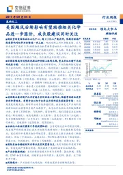 基础化工行业周报：美国飓风后续影响有望助推相关化学品进一步涨价，成长股建议同时关注