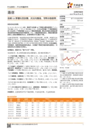 通信行业专题研究：连续16季增长但放缓，关注光通信、专网与物联网