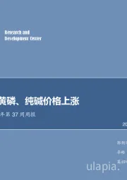 化工行业周报:氯化铵、黄磷、纯碱价格上涨