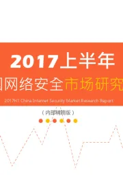 2017上半年中国网络安全市场研究报告