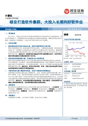 计算机行业研究：雄安打造软件集群，大投入长期利好软件业