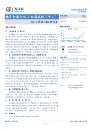 稀有金属行业-小金属跟踪（十三）：C919再添130架订单