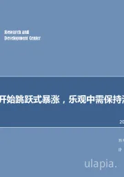 化工行业点评：纯碱价格开始跳跃式暴涨，乐观中需保持清醒