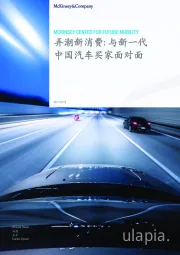 弄潮新消费：与新一代中国汽车买家面对面
