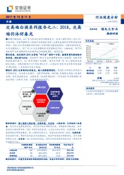 白酒行业深度分析：次高端白酒系列报告之二：2018，次高端仍沐好春光