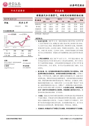 有色金属行业月度报告：新能源汽车长期景气，环保风吹铅锌价格走强