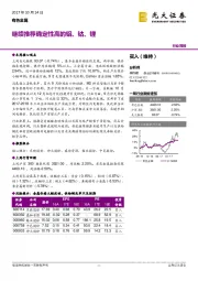 有色金属行业周报：继续推荐确定性高的铝、钴、锂