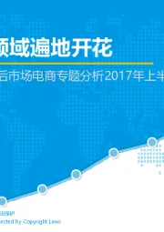 中国汽车后市场电商专题分析2017年上半年：垂直领域遍地开花