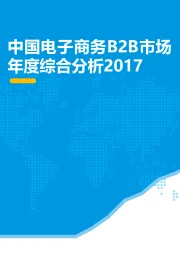 中国电子商务B2B市场年度综合分析2017