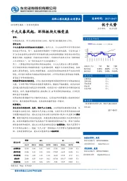 公用事业行业动态报告：十九大春风起，环保板块大幅受益