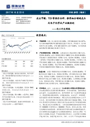 化工行业周报：关注甲酸、TDI等涨价品种，推荐细分领域龙头及电子化学品产业链标的