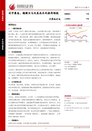 计算机行业：攻守兼备，稳健白马及真成长风格再领航